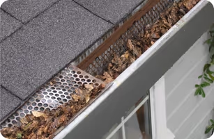Gutters & fascia
