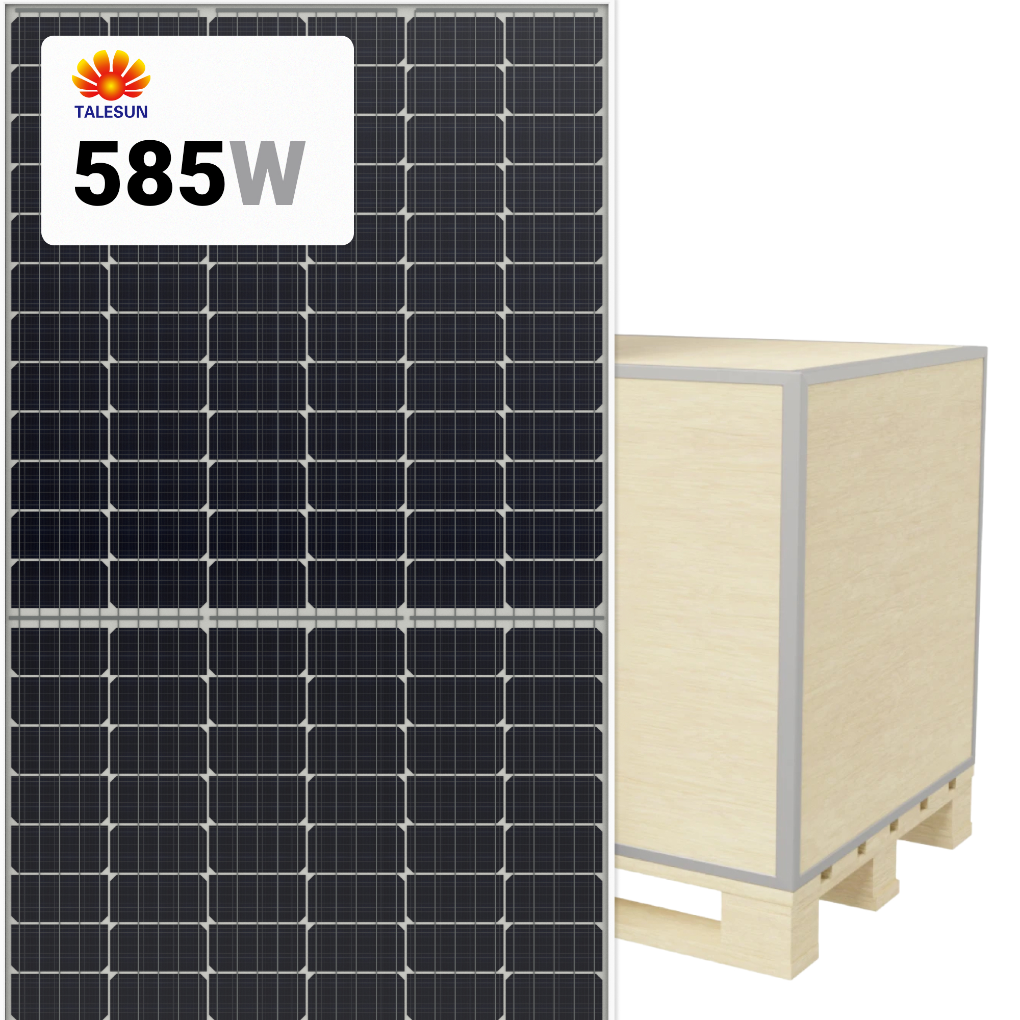 Talesun Solar 585W Panel 144 Cells N-type TOPCon Bifacial TM7G72M-585 ...