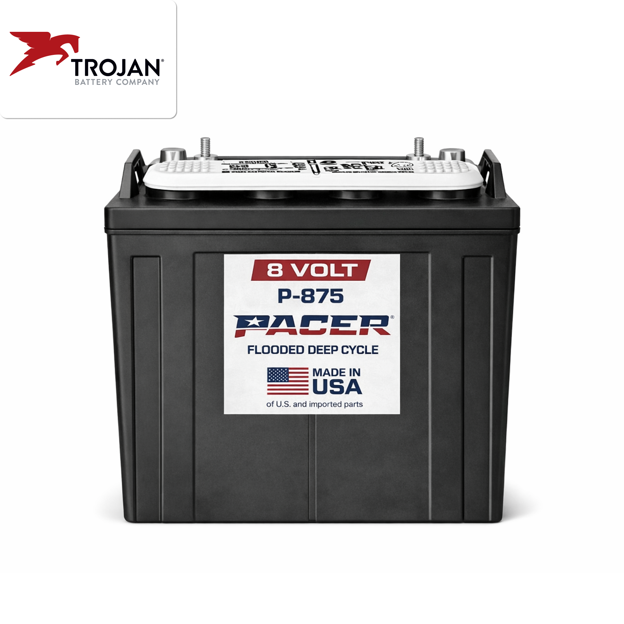 Trojan Pacer P-875 LPT 165Ah 8V Deep-Cycle Battery Flooded Lead