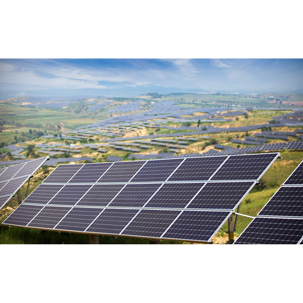 longi-300w-lr6-60pb-solar-panel-is-available-online-at-a-low-price-at